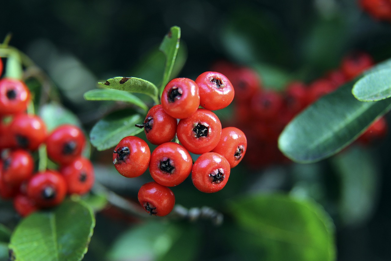 记者：拜仁将于明年一月开始与凯恩谈续约