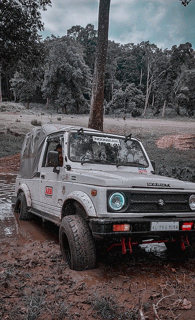泰州日报：泰州当下要思考如何将夺冠流量转化为城市发展动力