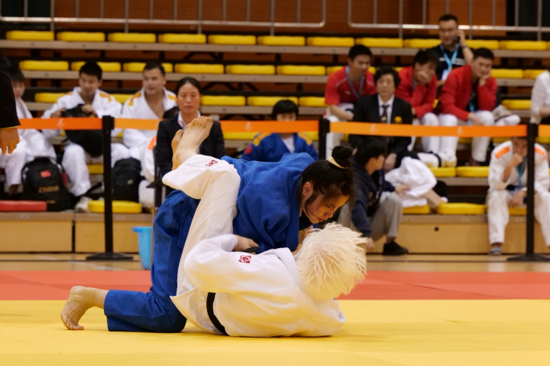 2026年世界排球联赛巅峰对决，中国男女排冲击奥运资格